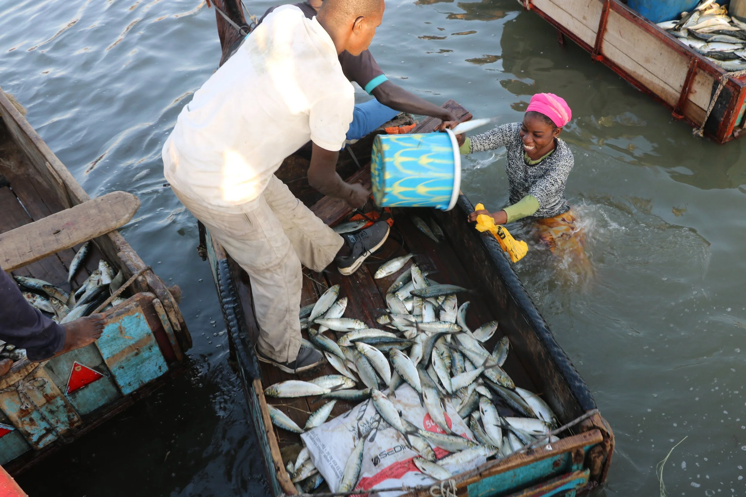 Pêche continentale : un secteur vital menacé, la BAD appelle à agir