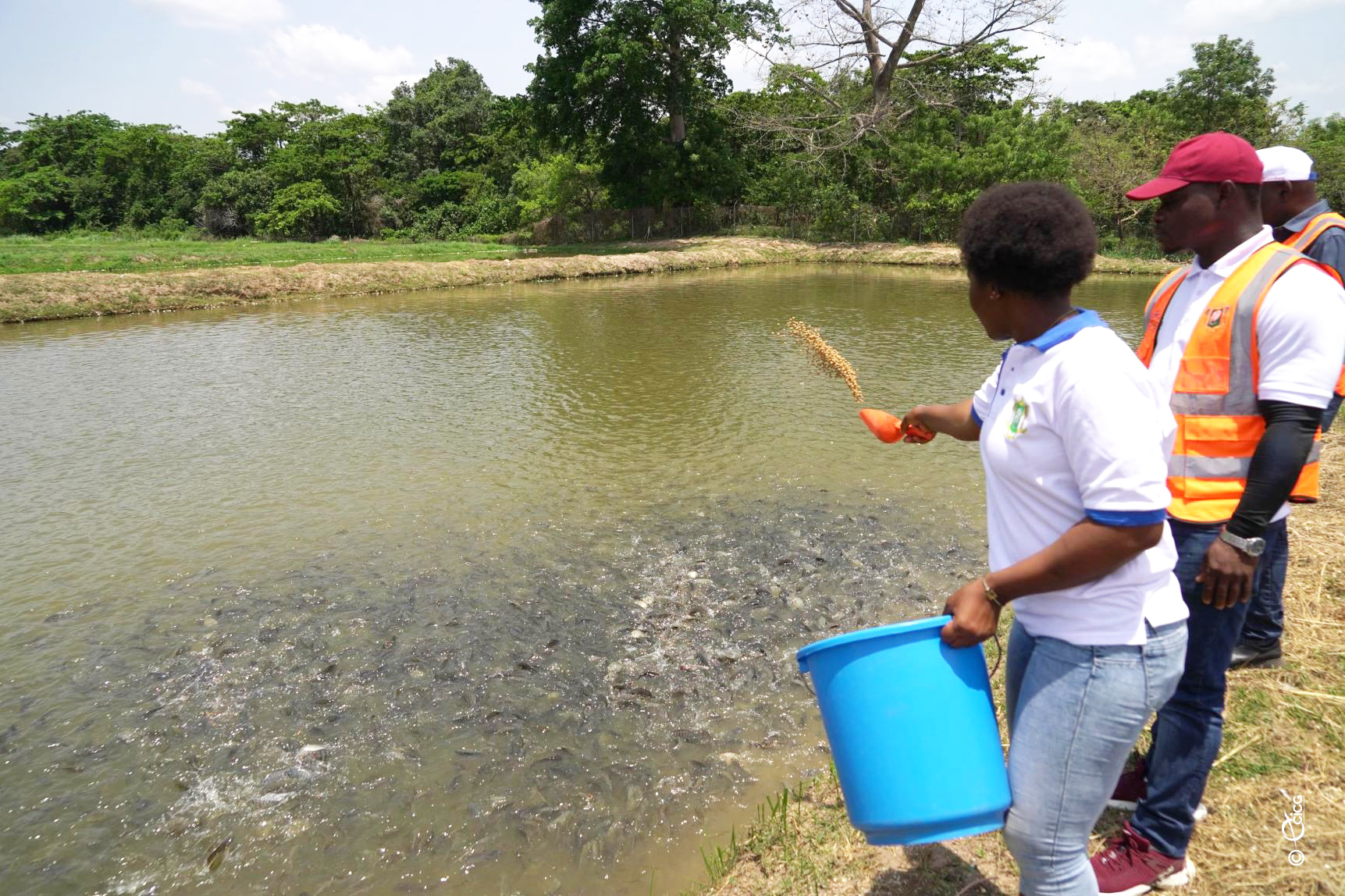 Ressources halieutiques : un secteur créateur d’emplois et pilier de la sécurité alimentaire